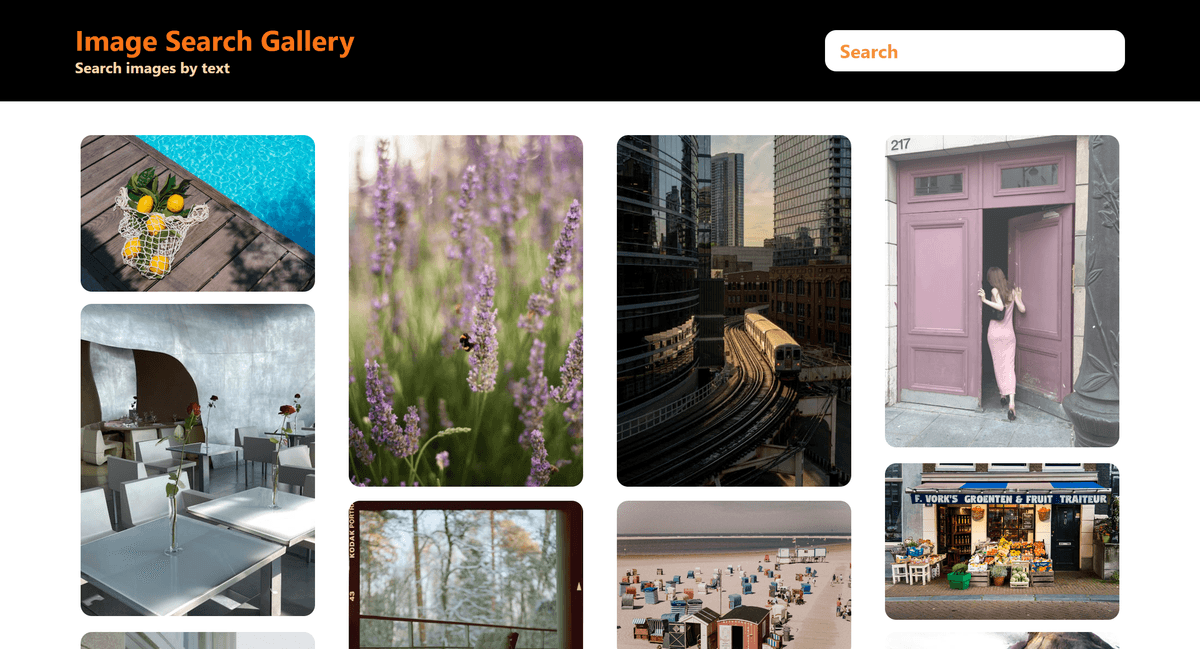 Photo Search Gallery